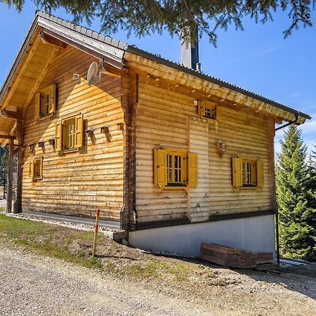 1A Chalet Enzianhuette - Ski Fahren Und Indoor Sauna Elsenbrunn المظهر الخارجي الصورة