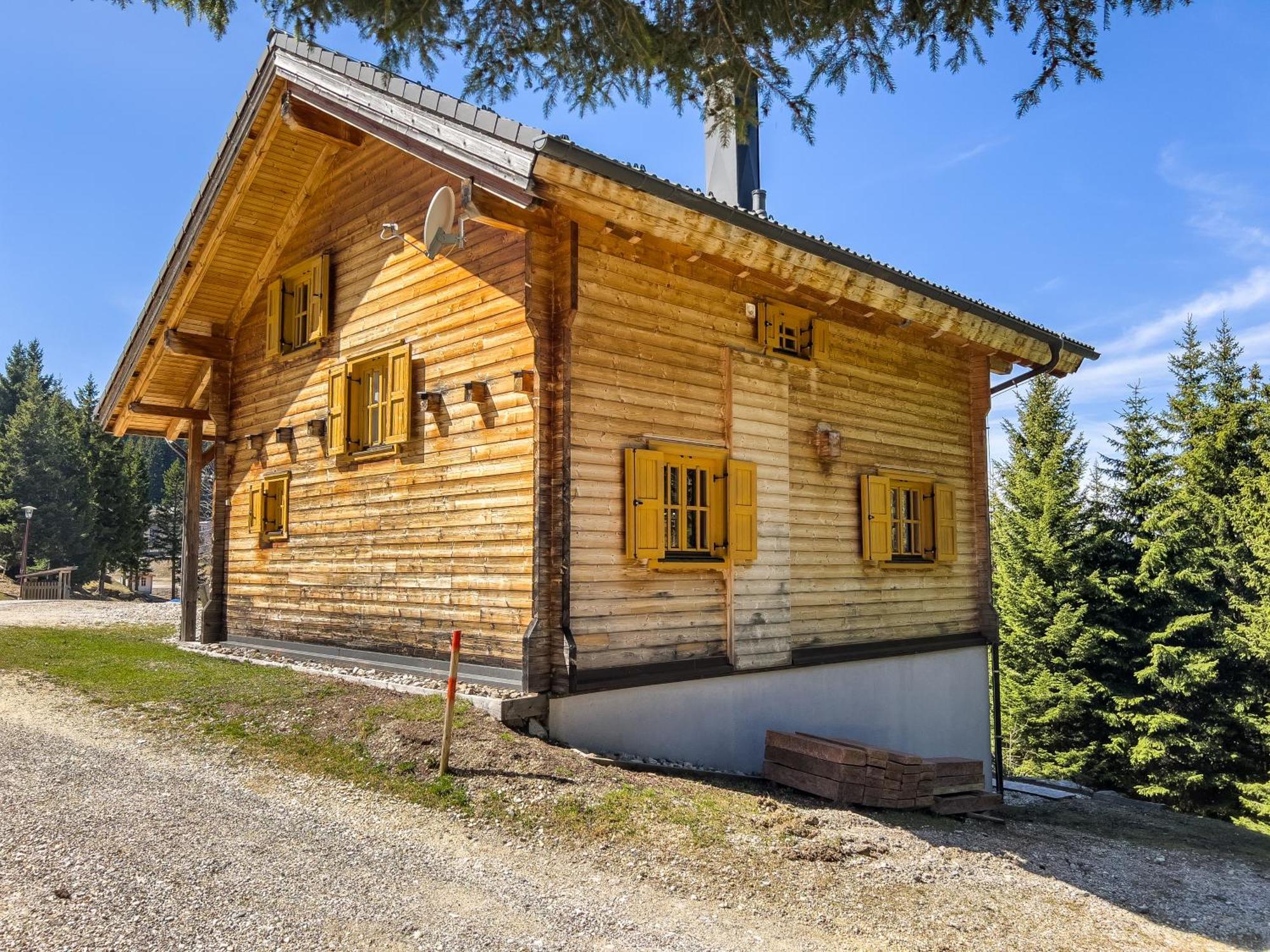 1A Chalet Enzianhuette - Ski Fahren Und Indoor Sauna Elsenbrunn المظهر الخارجي الصورة