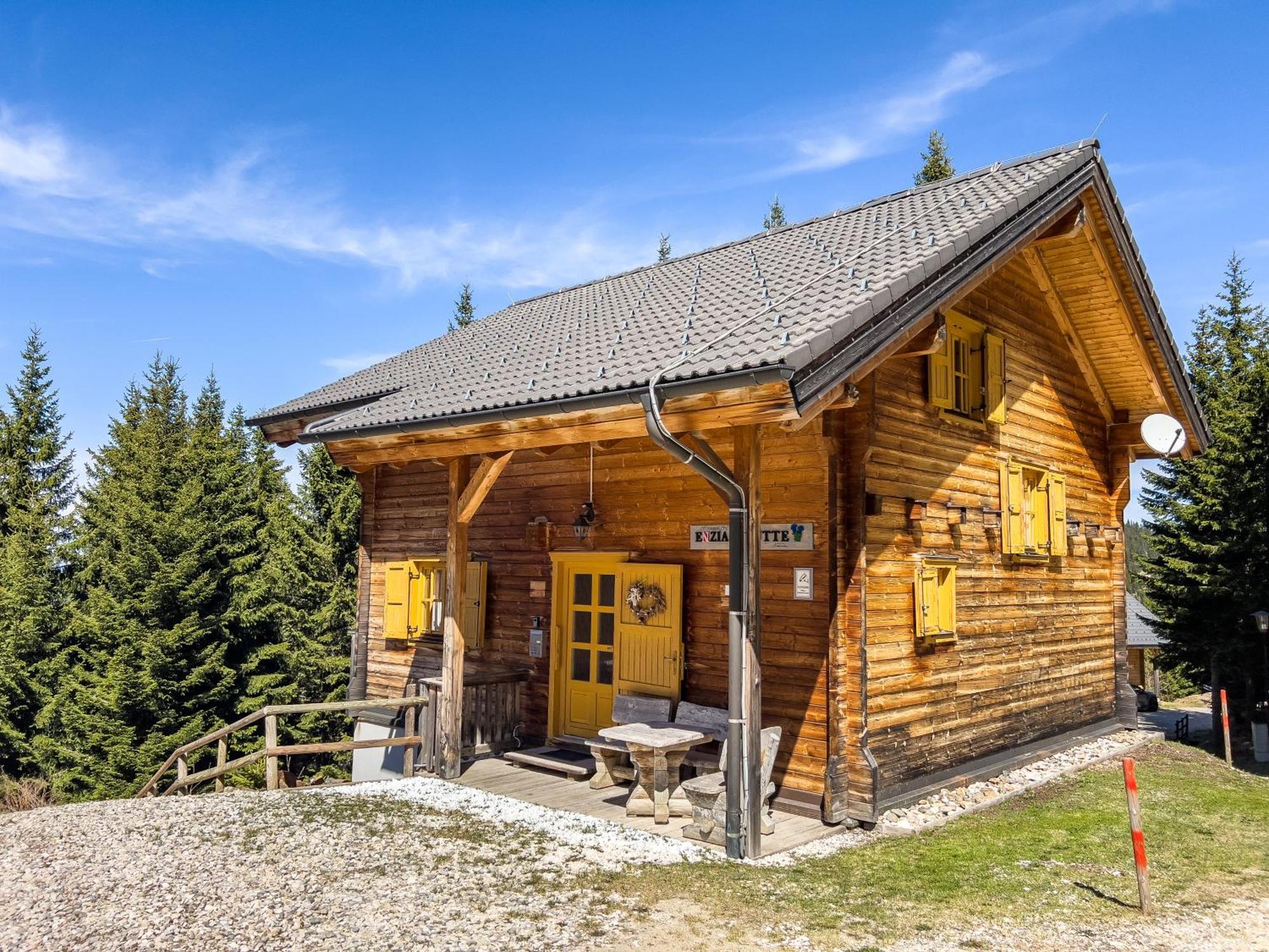 1A Chalet Enzianhuette - Ski Fahren Und Indoor Sauna Elsenbrunn المظهر الخارجي الصورة