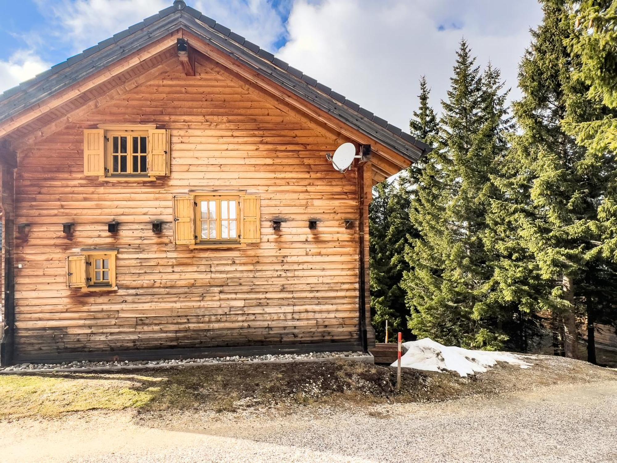 1A Chalet Enzianhuette - Ski Fahren Und Indoor Sauna Elsenbrunn المظهر الخارجي الصورة