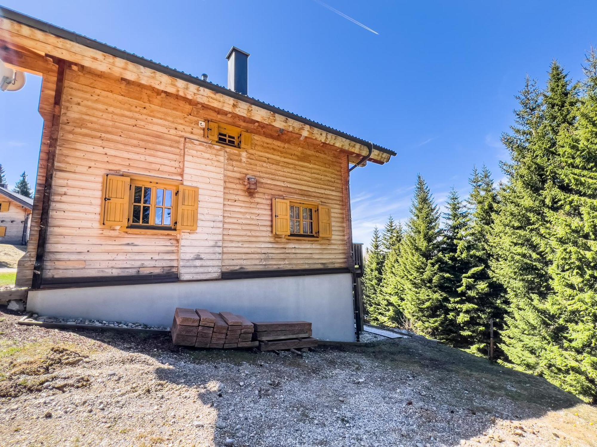 1A Chalet Enzianhuette - Ski Fahren Und Indoor Sauna Elsenbrunn المظهر الخارجي الصورة