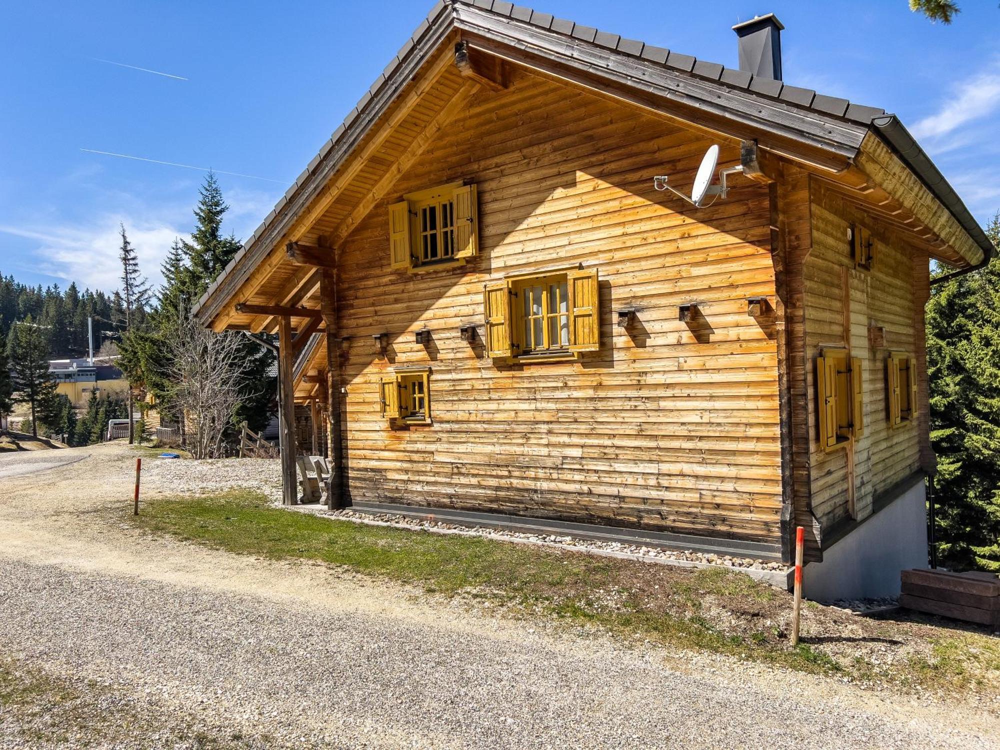 1A Chalet Enzianhuette - Ski Fahren Und Indoor Sauna Elsenbrunn المظهر الخارجي الصورة