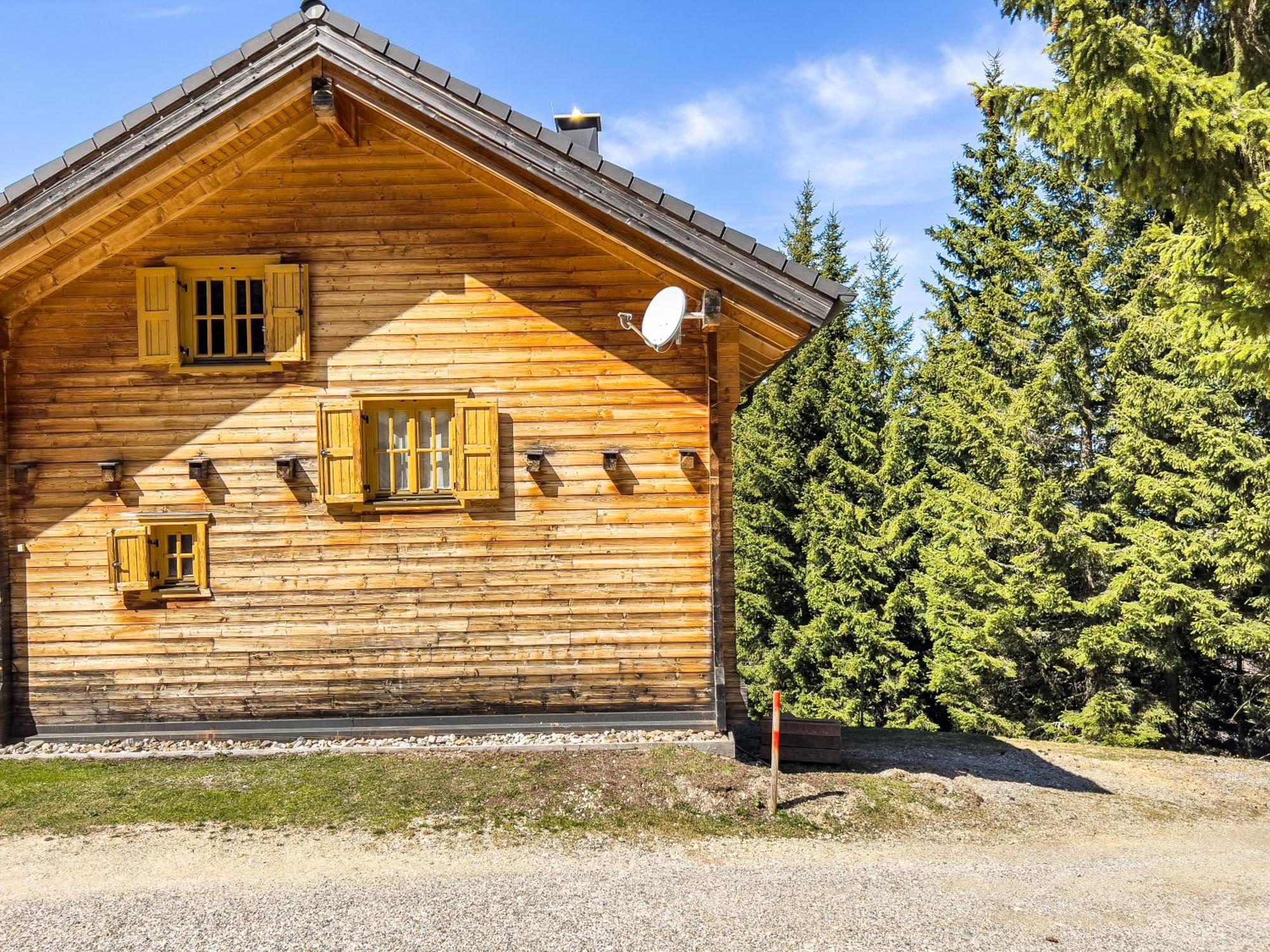 1A Chalet Enzianhuette - Ski Fahren Und Indoor Sauna Elsenbrunn المظهر الخارجي الصورة