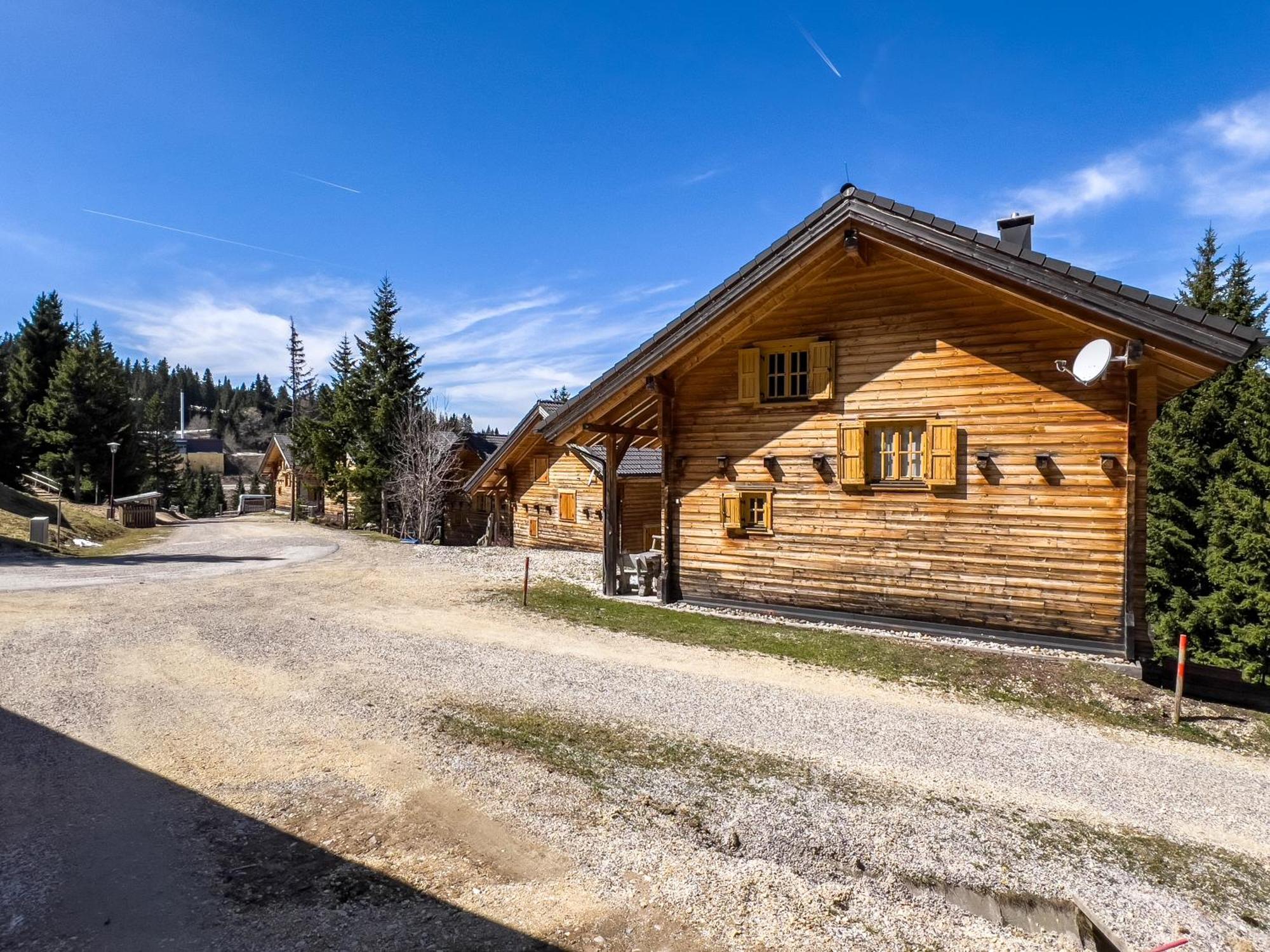 1A Chalet Enzianhuette - Ski Fahren Und Indoor Sauna Elsenbrunn المظهر الخارجي الصورة