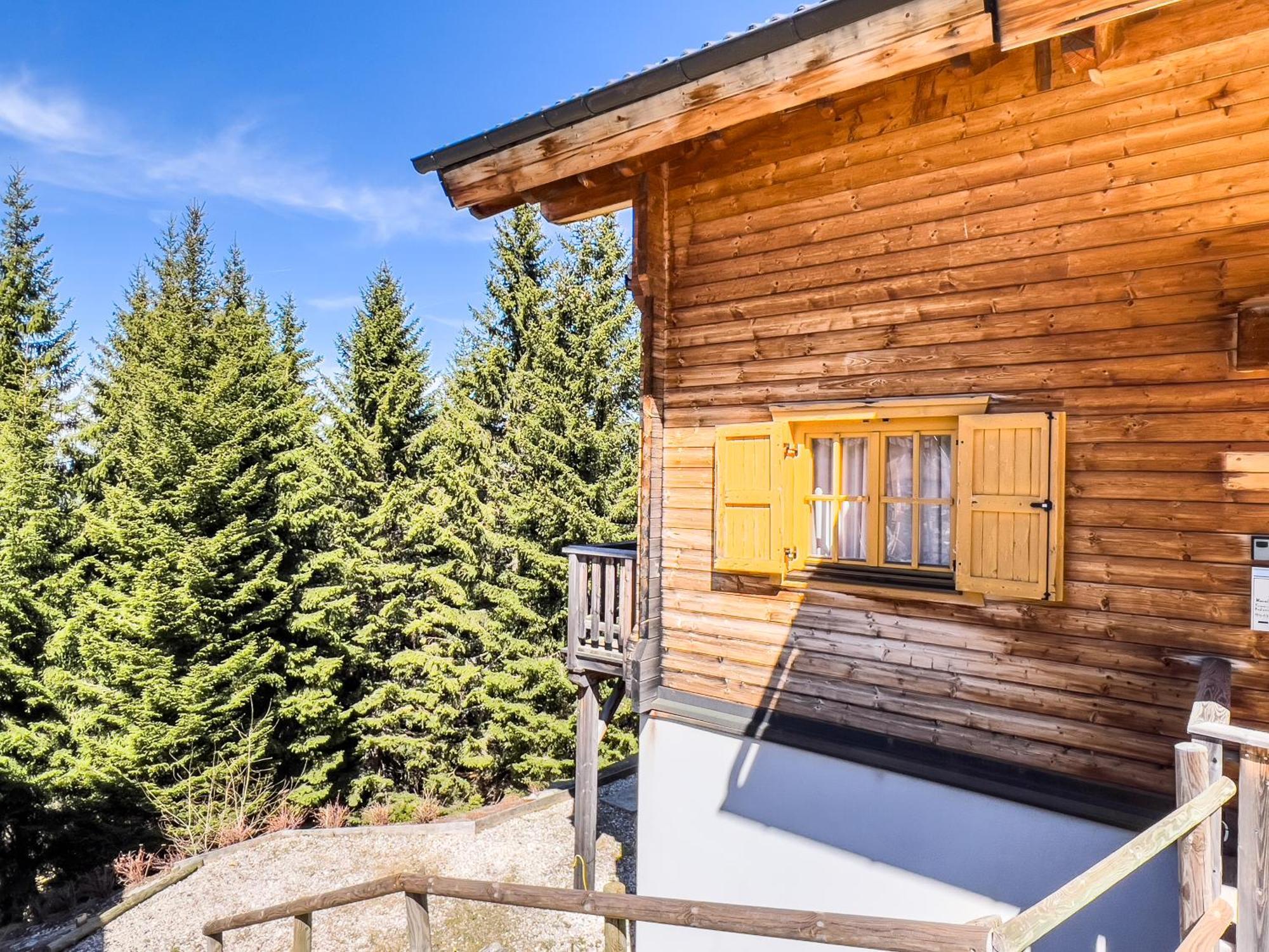 1A Chalet Enzianhuette - Ski Fahren Und Indoor Sauna Elsenbrunn المظهر الخارجي الصورة