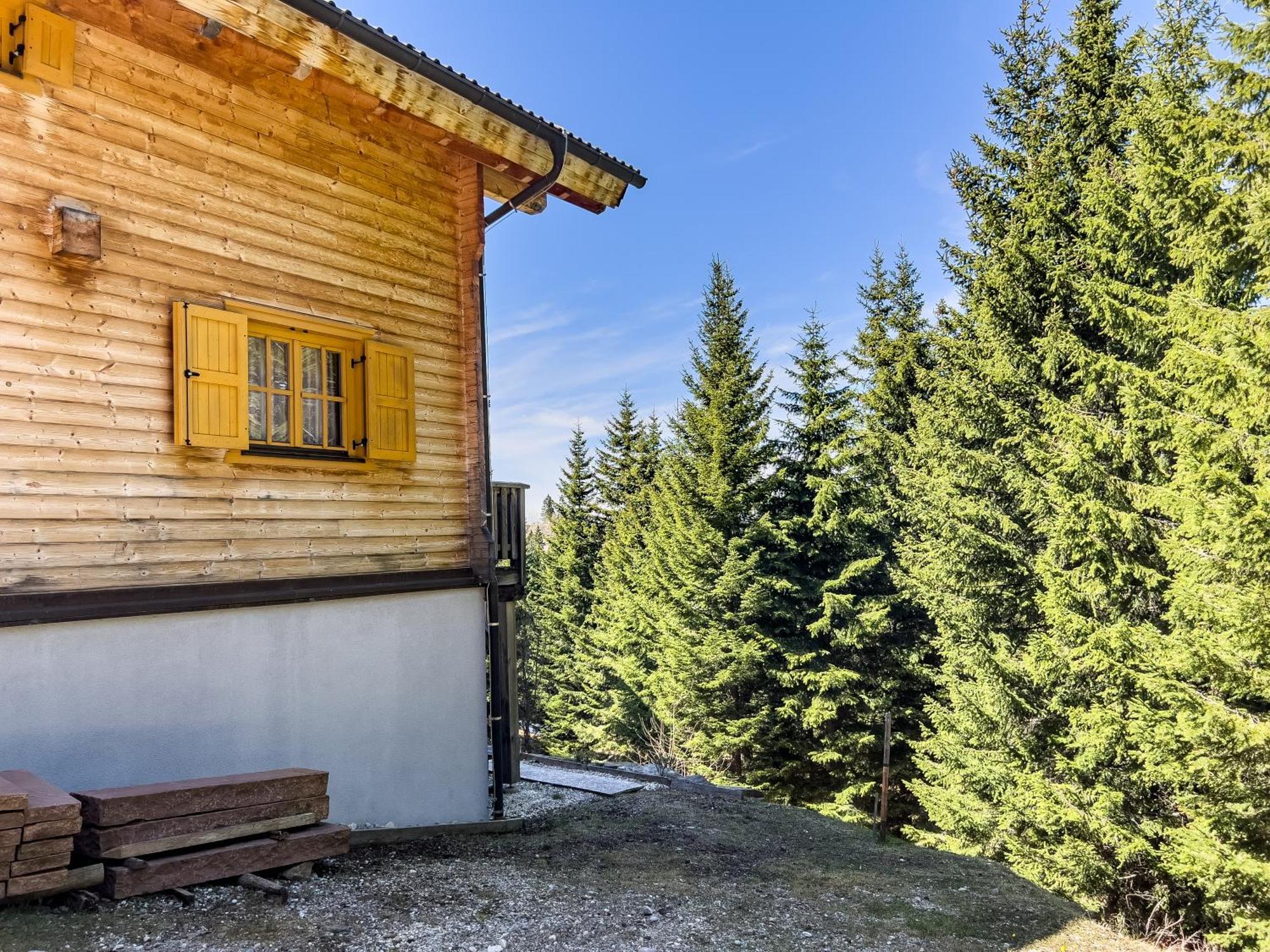 1A Chalet Enzianhuette - Ski Fahren Und Indoor Sauna Elsenbrunn المظهر الخارجي الصورة